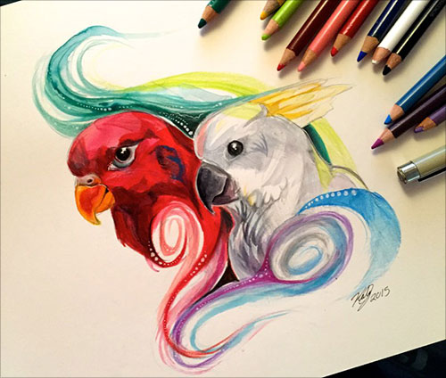 Colour Pencil Animal Drawings - pencildrawing2019