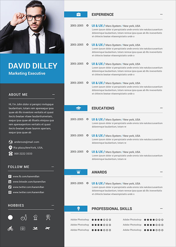 Cv Template Word Professional Professional Resume Templates Word On 
