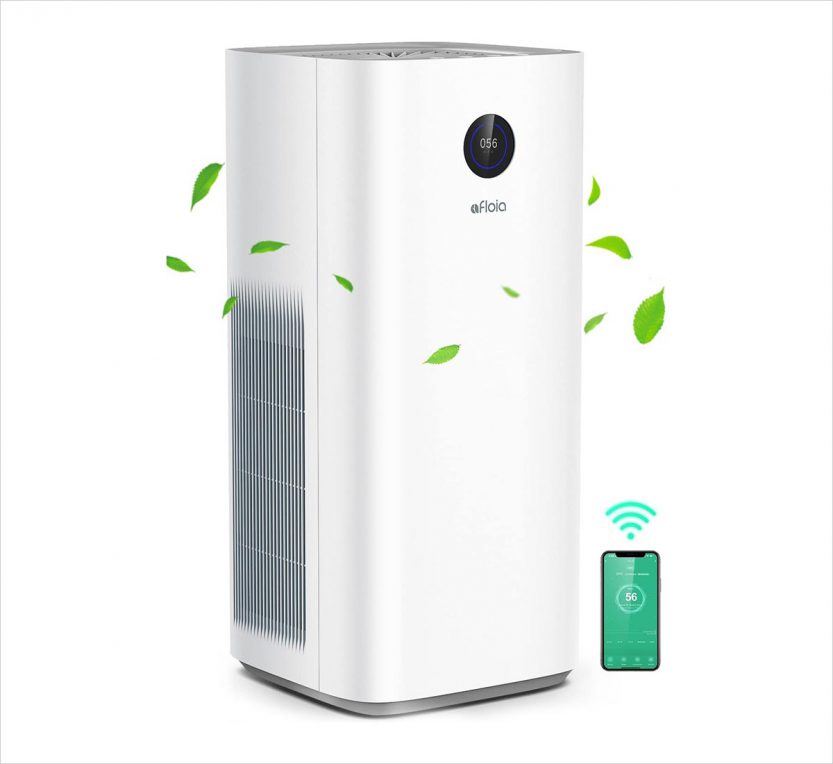 Best Value For Money Air Purifiers For Large Rooms Designbolts