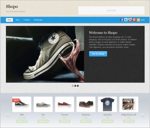 20 Best Free & Premium eCommerce WordPress Themes For Selling Footwear ...