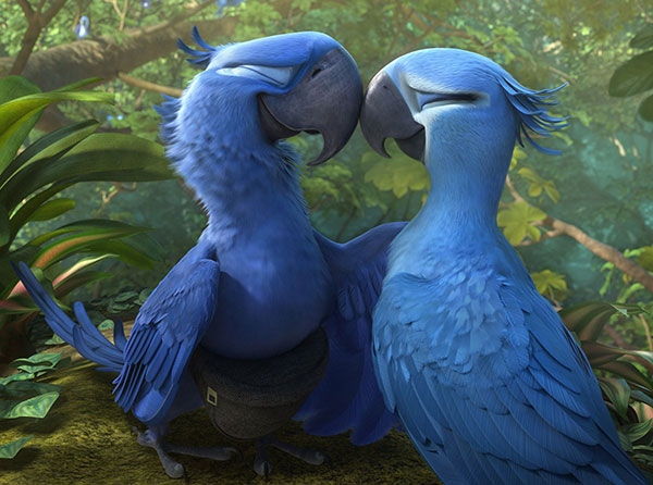 Rio 2 14 Movie Hd Wallpapers Facebook Cover Photos