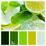 100+ Best Cool Color Combinations for Summer by Color Palettes