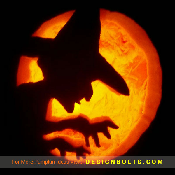 pumpkin carving ideas witch
