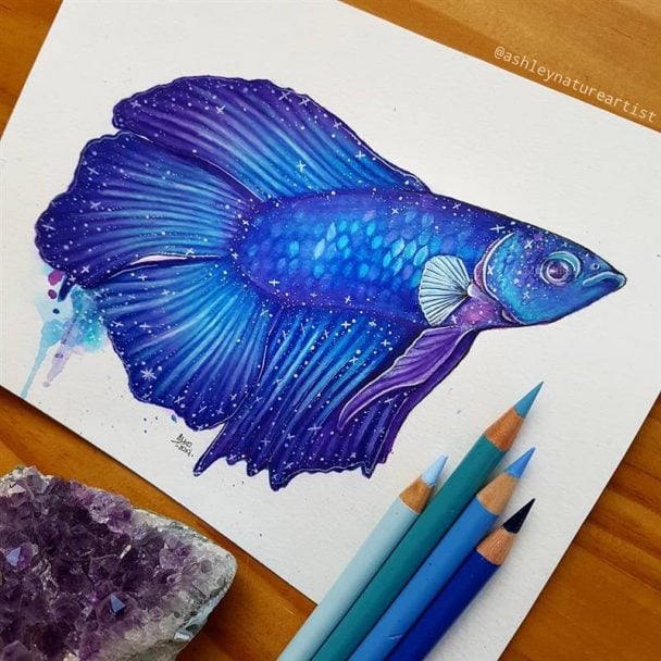 40+ Beautiful Magical Animal Paintings by Ashley McDonald - Designbolts