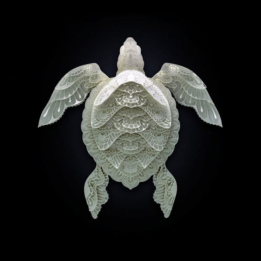 18 Amazing Papercut Animal Portraits By Patrick Cabral - Designbolts