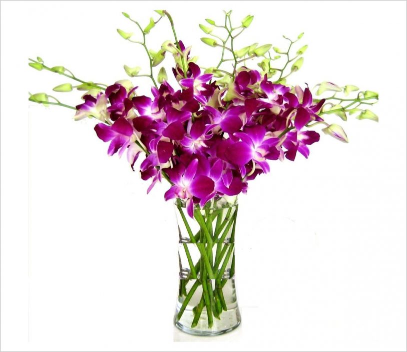 15 Best Fresh Cut Flowers & Bouquet for Mom on Mother’s Day 2020 ...