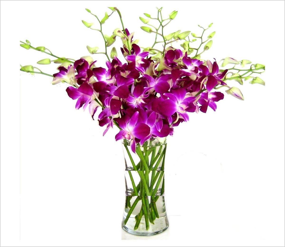 15 Best Fresh Cut Flowers & Bouquet for Mom on Mother’s Day 2020 ...