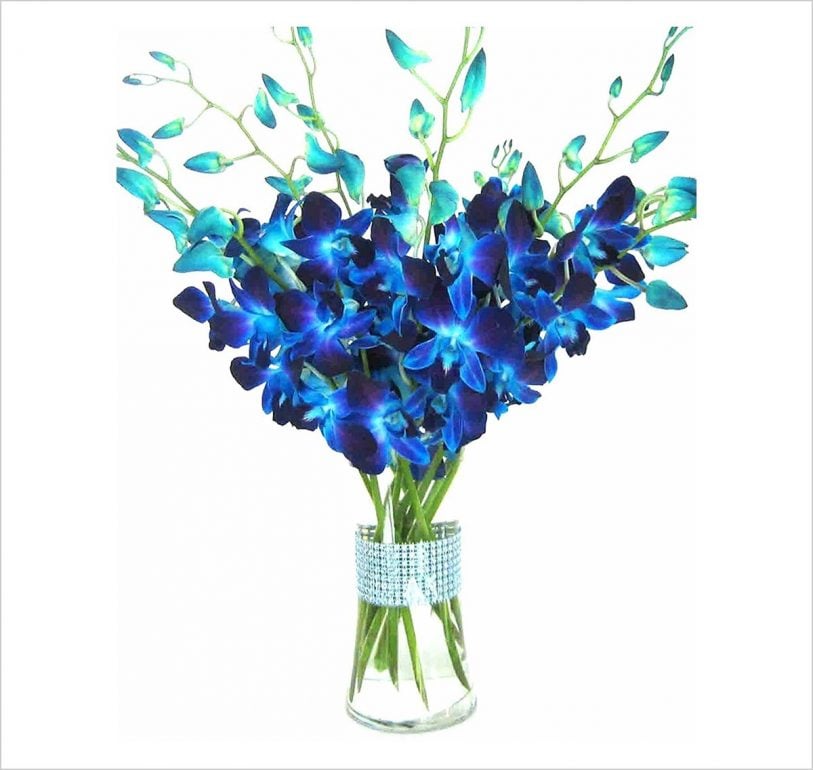 15 Best Fresh Cut Flowers & Bouquet for Mom on Mother’s Day 2020 ...