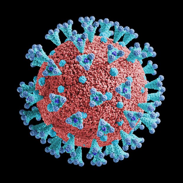 Free High Resolution Coronavirus Stock Images / Photos for Design ...