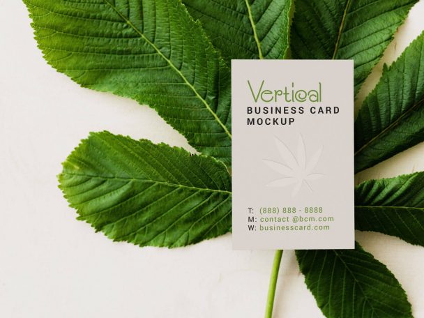 Download 2 Free Horizontal & Vertical Business Card Mockup PSD Set ...