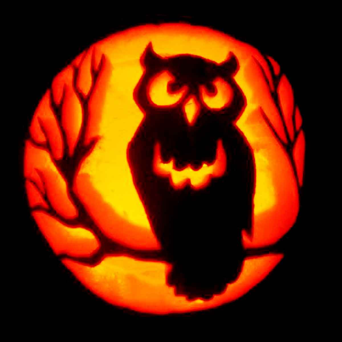 owl pumpkin designs