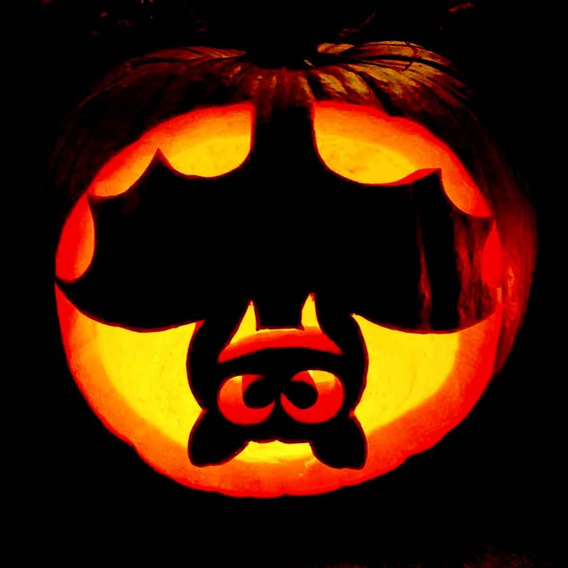 25 Simple Yet Easy Pumpkin Carving Ideas 2020 For Kids Designbolts   Easy Simple Bat Pumpkin Carving Ideas 2020 For Kids Children 17 813x813 