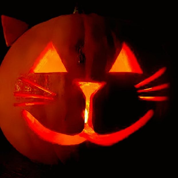 50+ Halloween Scary Simple Pumpkin Carving Ideas 2021 for Kids ...