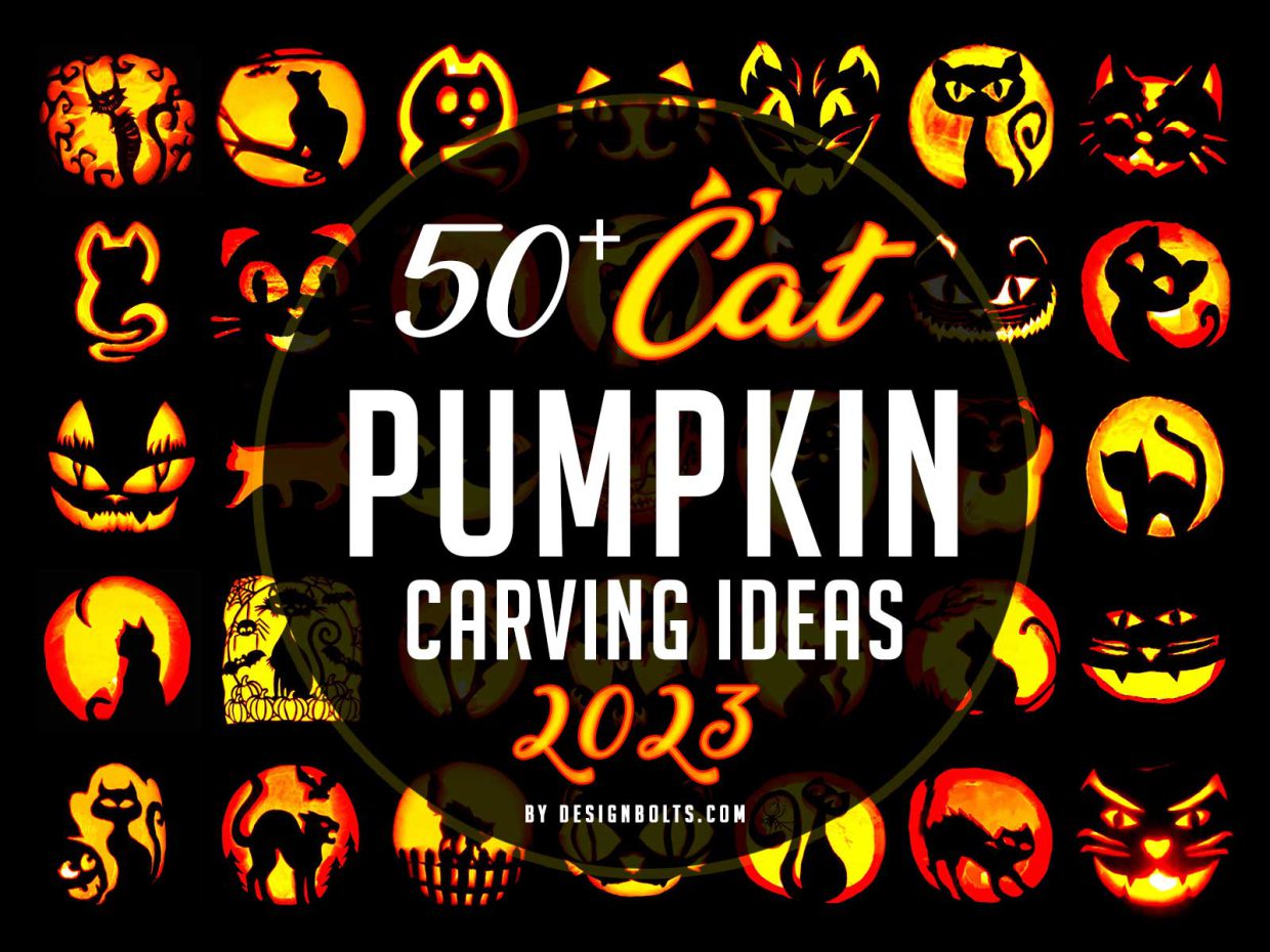 50+ Cat Halloween Pumpkin Carving Ideas 2023 - Designbolts