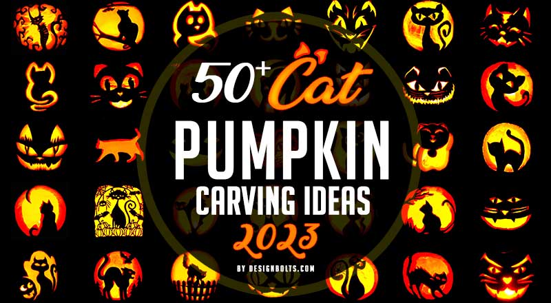 50+ Cat Halloween Pumpkin Carving Ideas 2023 - Designbolts