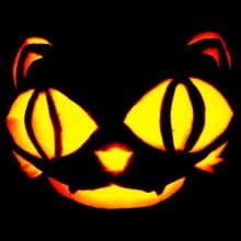 50+ Cat Halloween Pumpkin Carving Ideas 2023 - Designbolts